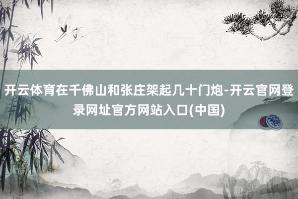 开云体育在千佛山和张庄架起几十门炮-开云官网登录网址官方网站入口(中国)